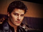 David Boreanaz