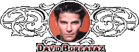 David Boreanaz