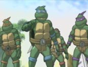 Teenage Mutant Hero Turtles