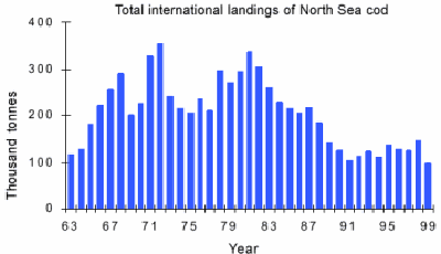 Graph showing the decline in North Sea cod landings