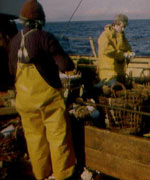 Fisherfolk