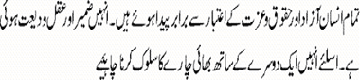 Urdu writing